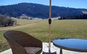 das Vogelnest